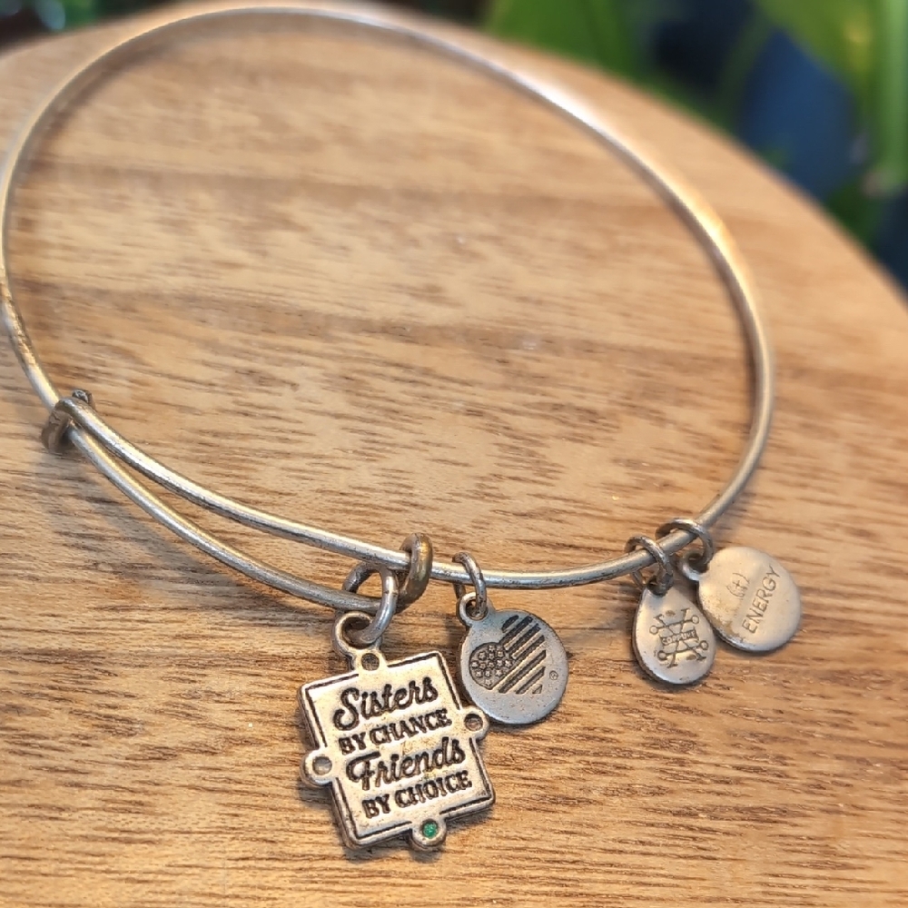 Sisters By Chance Silver Charm Bracelet By Alex & Ani
